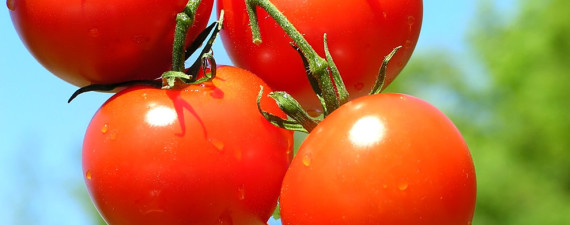 Как очистить помидоры от кожуры
